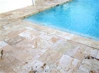 Antique Dark Walnut Pavers