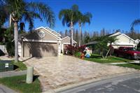 Antique Light Walnut Pavers