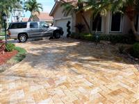 Exotic Gold Pavers