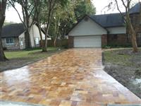 Exotic Gold Pavers