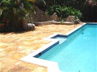 Exotic Gold Pavers